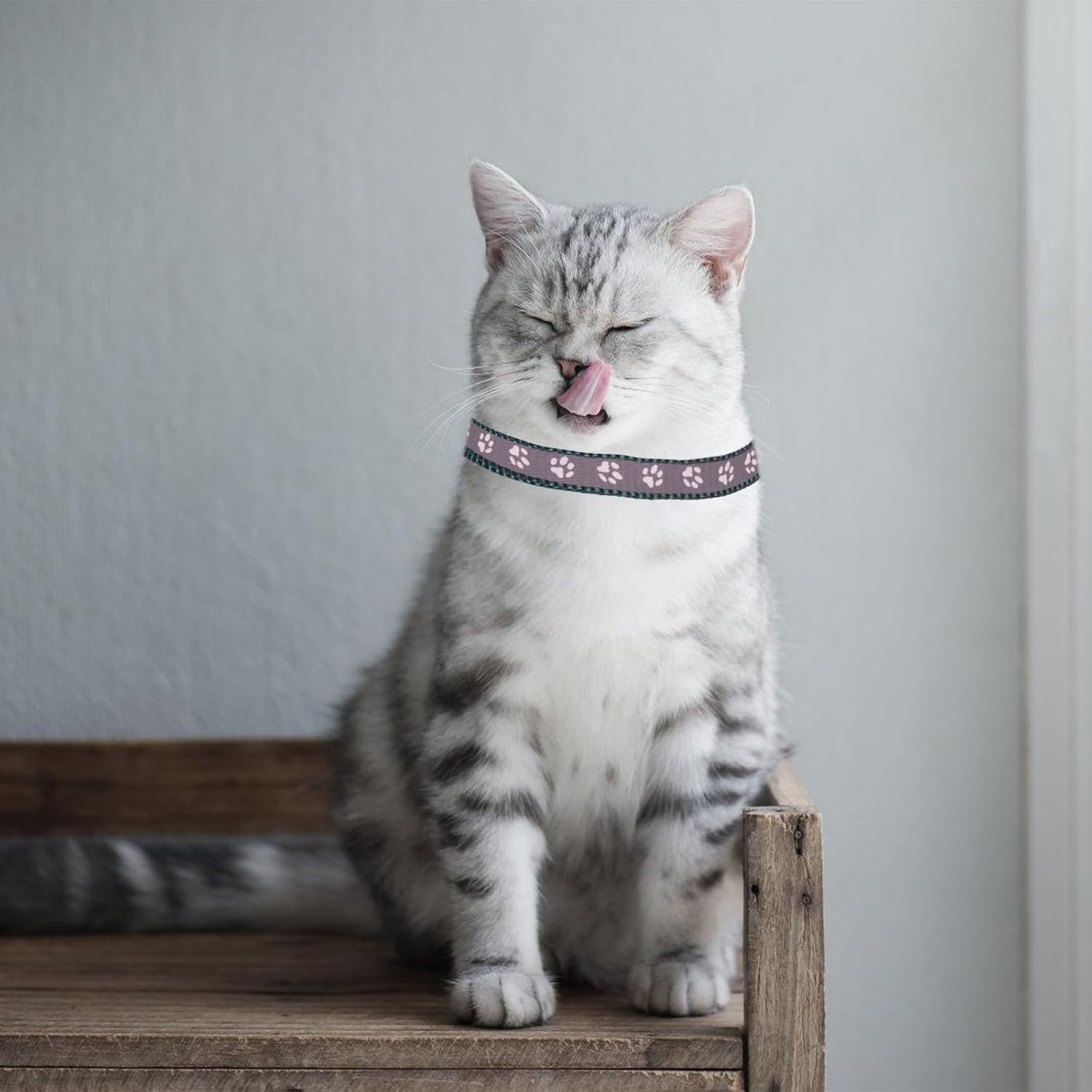 6 Pieces Pet Kitten Collars, Adjustable Kitten Collar, Reflective Cat Collar Pack with Bell, Kitten Collar Safety Quick Release Buckle, for Girl Male Cats Pet Supplies Stuff Accessories (Multicolorb)