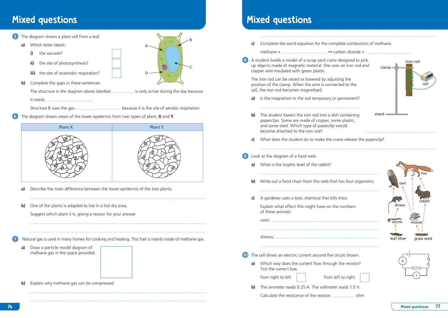 Ks3 Science Year 8: Organise and Retrieve Your Knowledge: Ideal for Year 8 image number 6