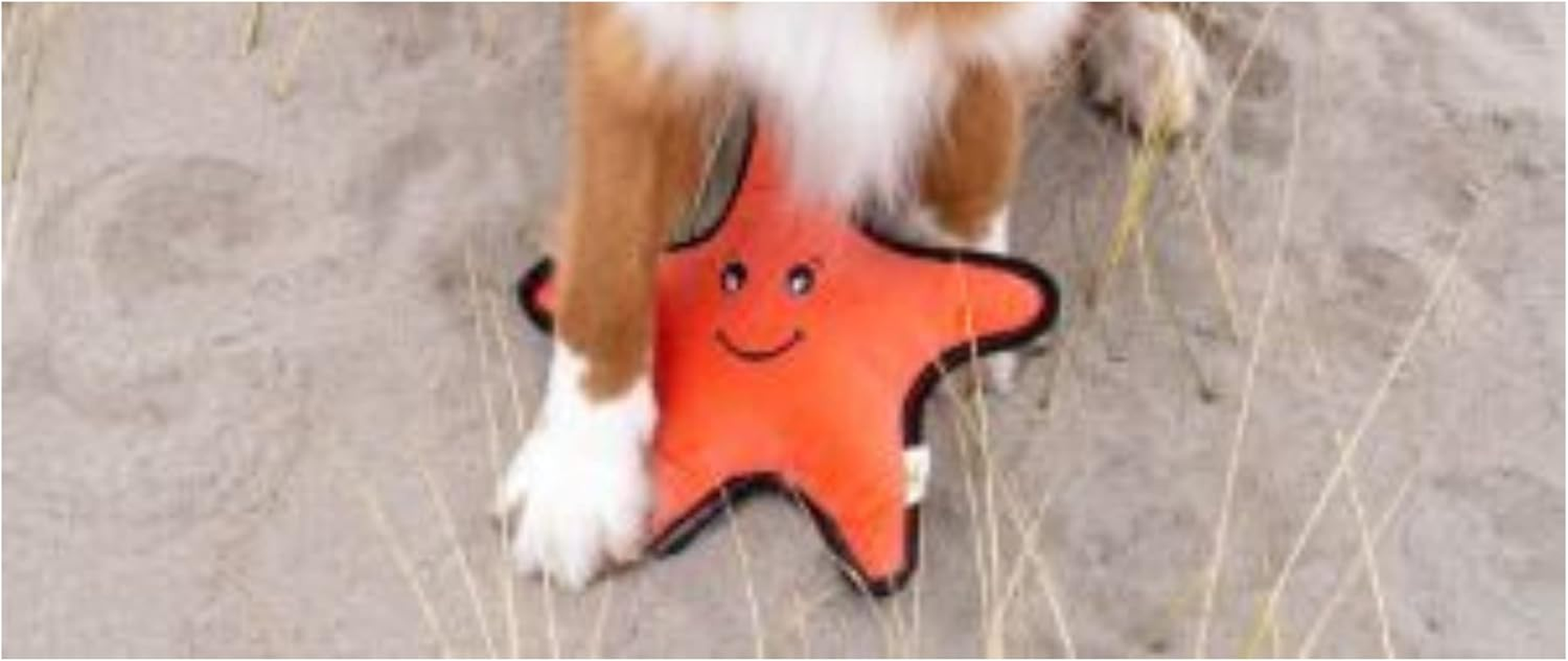 Beco Post Consumer Recycled Plastic Rough and Tough Starfish Dog and Cat Toy Orange Medium