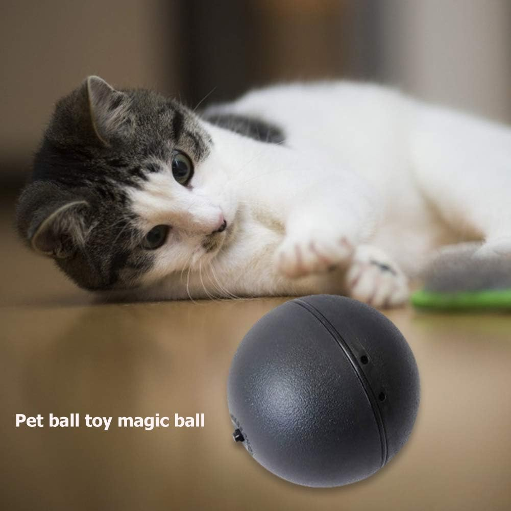 5Pcs Battery Powered Pet Electric Magic Roller Ball Automatic Dog Cat Funny Toys