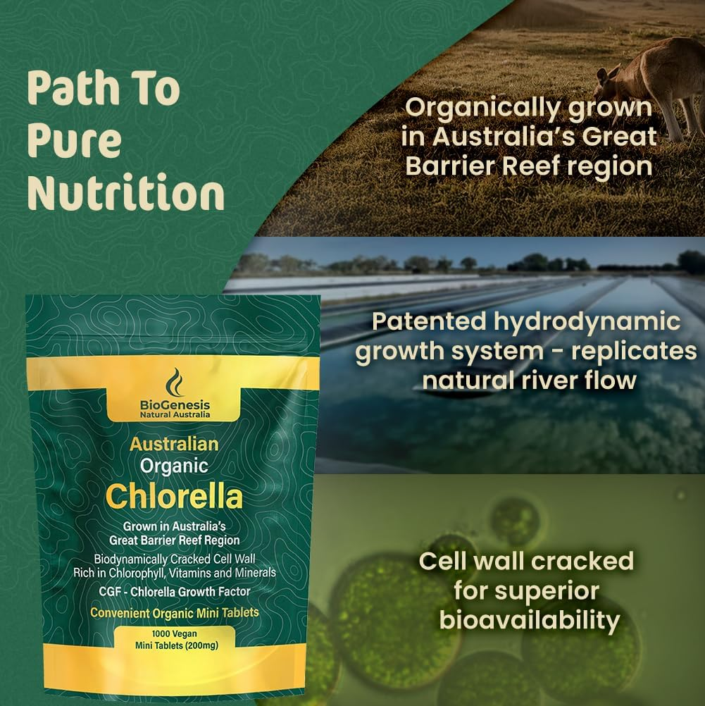 Biogenesis Organic Chlorella Tablets &ndash; 1000 Count (200Mg) | Australian Grown | Biodynamic Cracked Cell Wall | Rich in Chlorophyll, Vitamins & Minerals | Supports Energy & Immunity | Vegan Mini Tablets image number 6