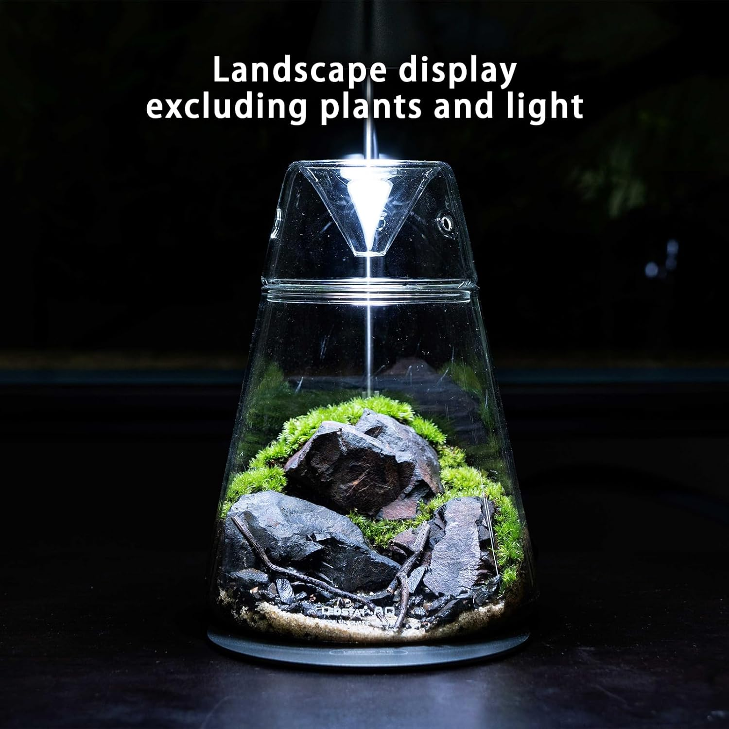 Glass Plant Terrarium with Lid 6.3"X7.9" Inches Succulent Air Planter Fern Moss Micro-Landscape Vase for Home Office Tabletop Decoration Container Indoor Wardian Copyright Patent image number 4