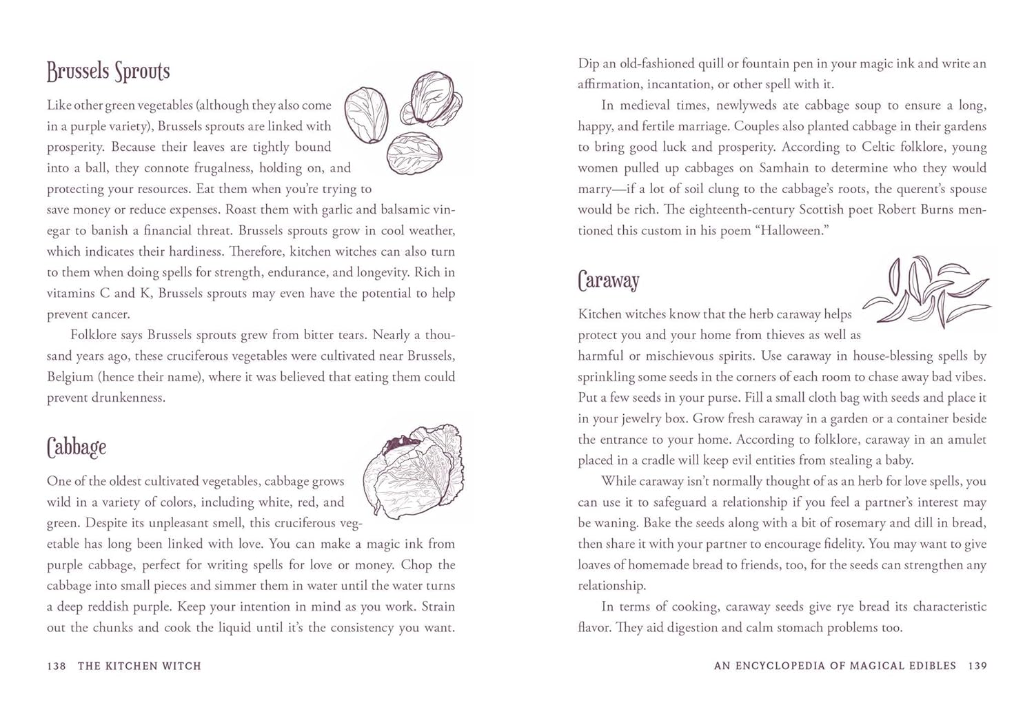 The Kitchen Witch: Your Complete Guide to Creating a Magical Kitchen with Natural Ingredients, Sacred Rituals, and Spellwork image number 6