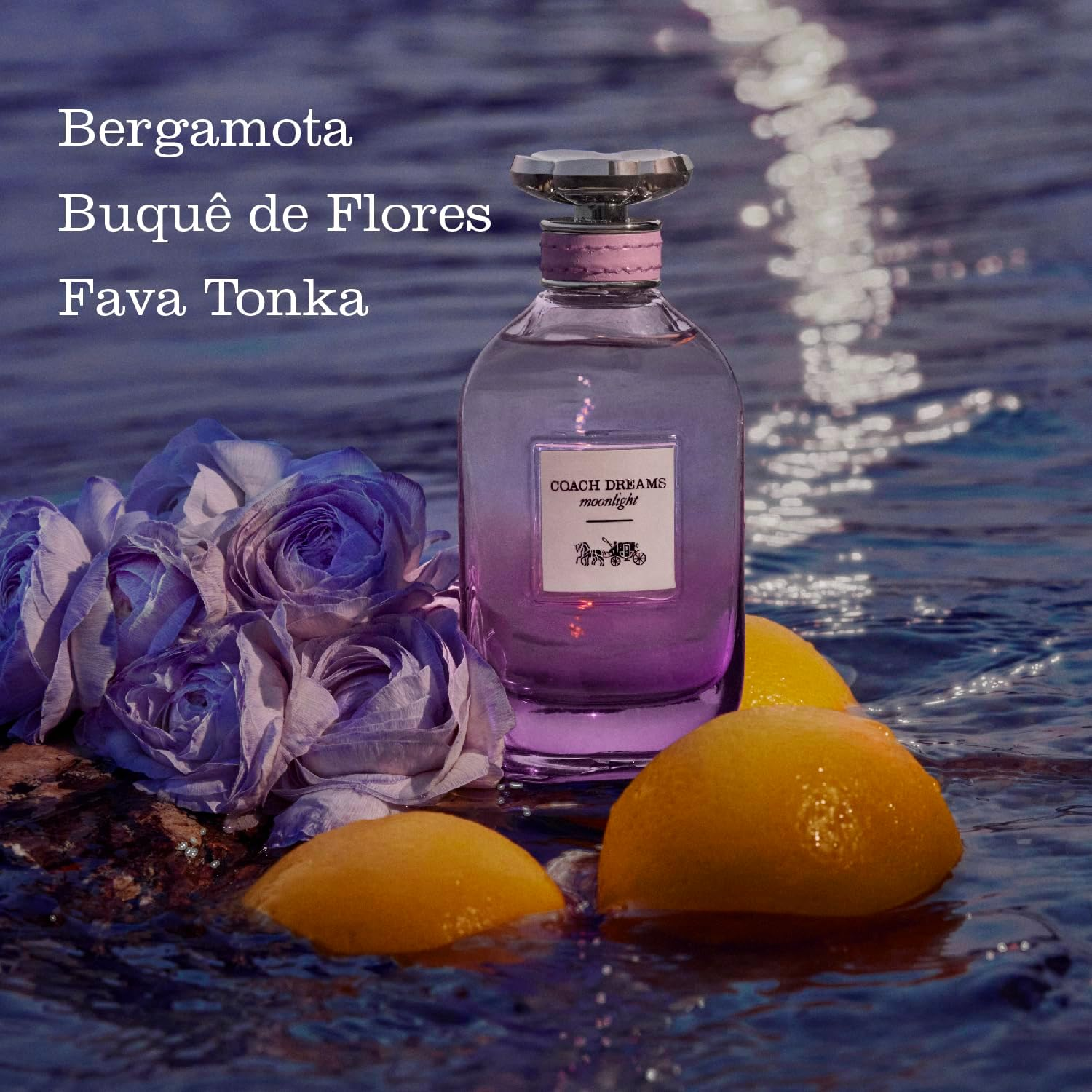 Coach Dreams Moonlight EDP 90Ml image number 4