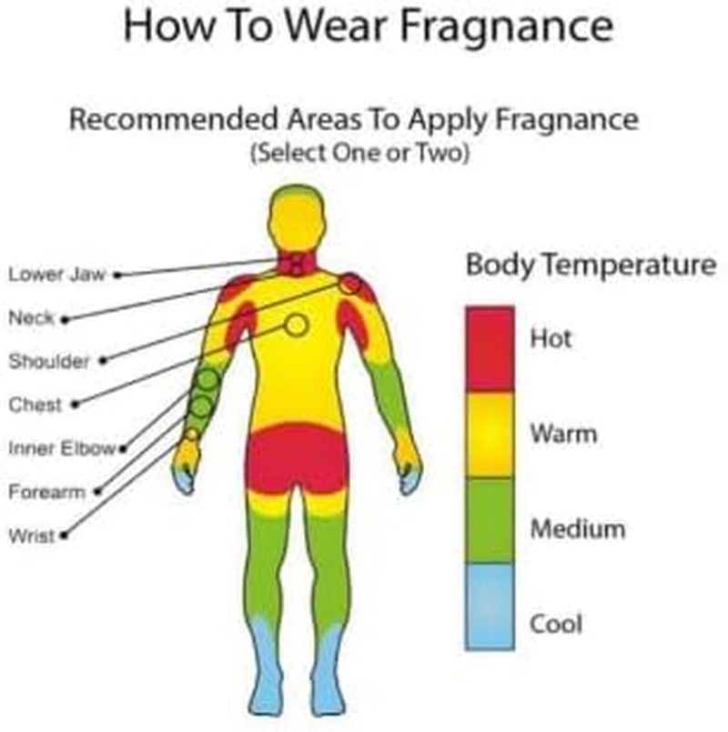 NEW Blanc Concentrated Perfume, 8 Ml, New Delights Collection for Unisex Longlasting Attar