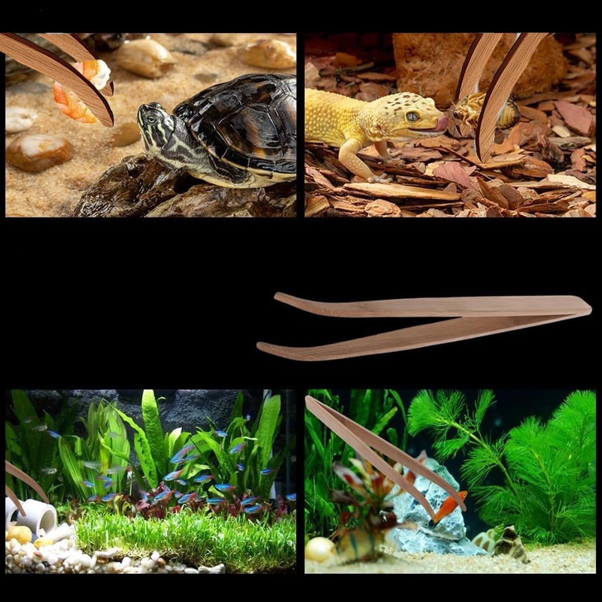 AIMALL Natural Bamboo Reptile Feeding Tweezers for Pets &ndash; 6.49" Handcrafted Precision Tool image number 3