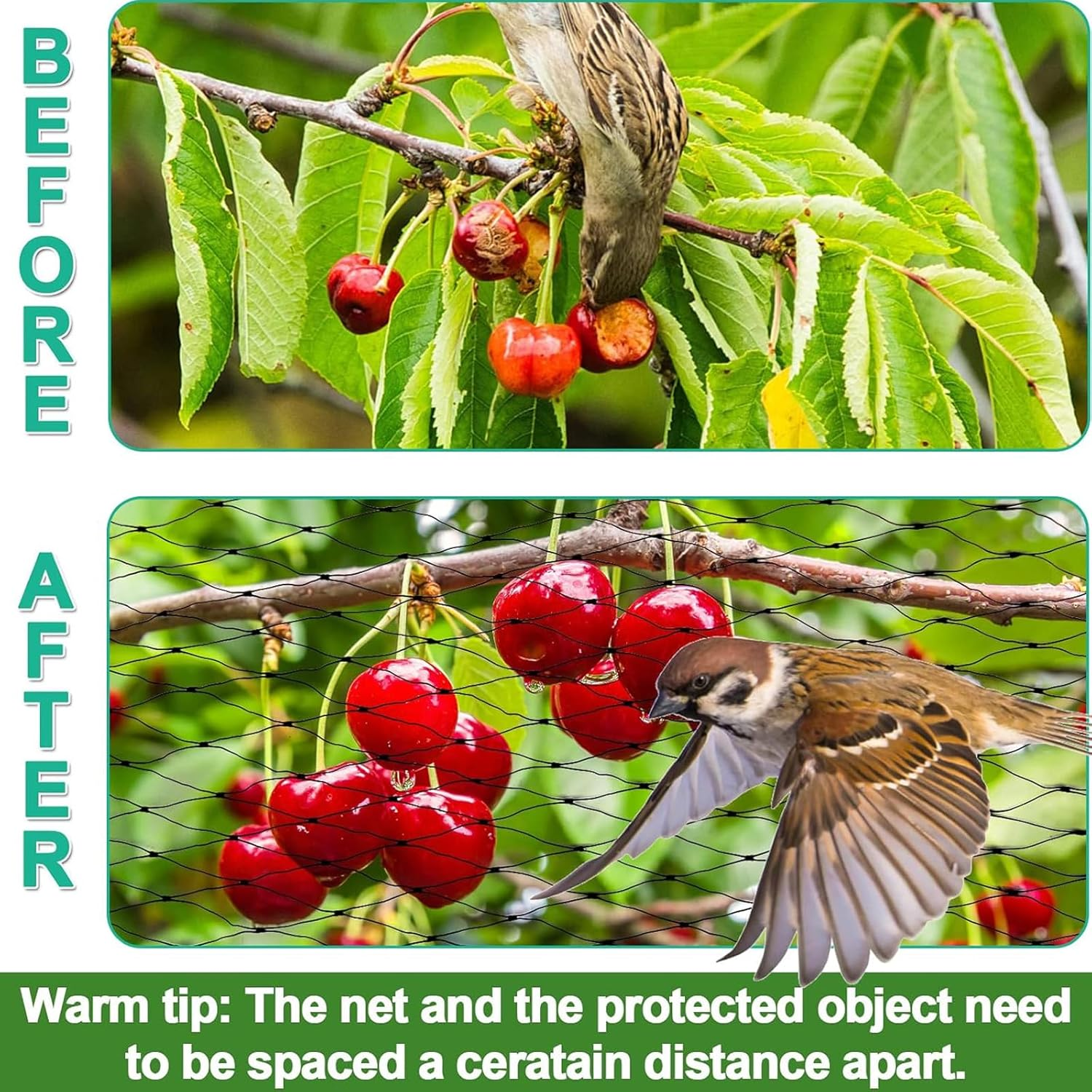 Bird Netting for Garden Protection, 13X32Ft Garden Netting W/ 0.8" Mesh, Poultry Netting for Chicken Coop, Deer Fence Netting for Plants Fruit Trees Vegetables against Birds, Squirrels, Other Animals