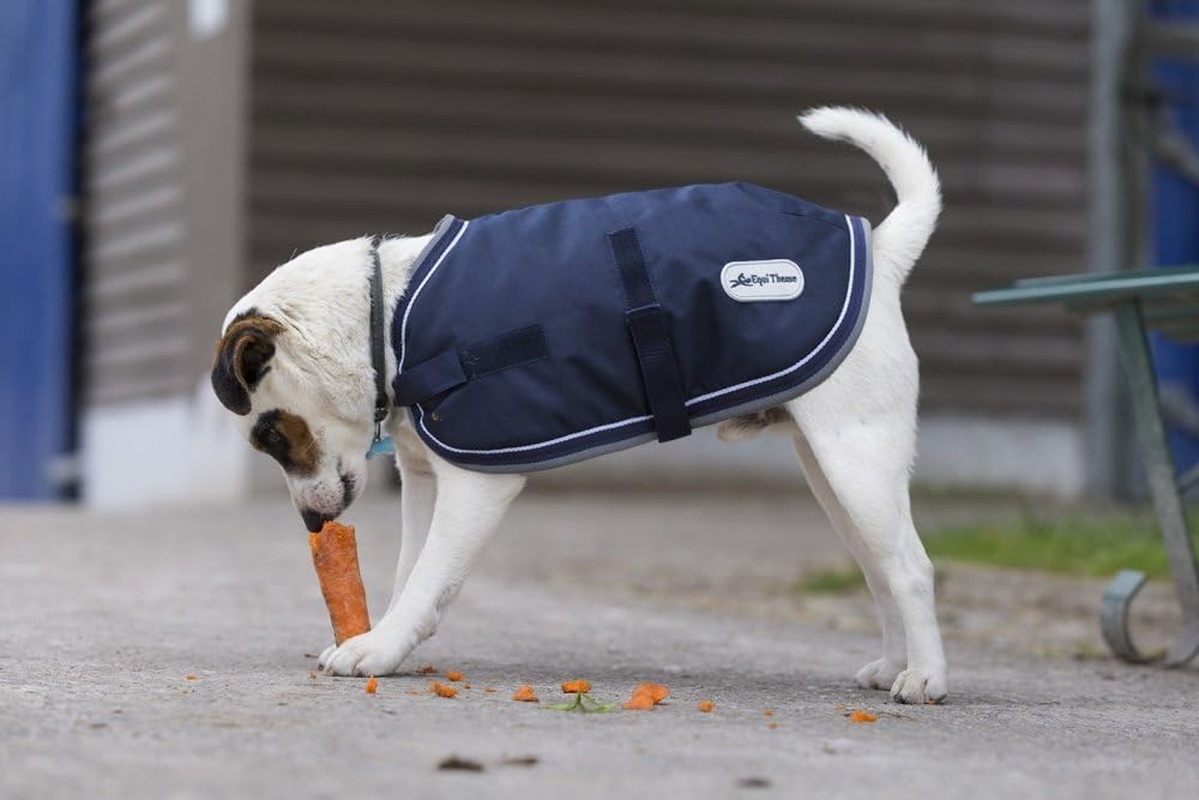 Ekkia/France Diego & LOUANA 600D Raincoat, for Dogs, Cold Protection, Waterproof, Windproof, for Large and Extra Large Dogs, Navy, 27.6 Inches (70 Cm)