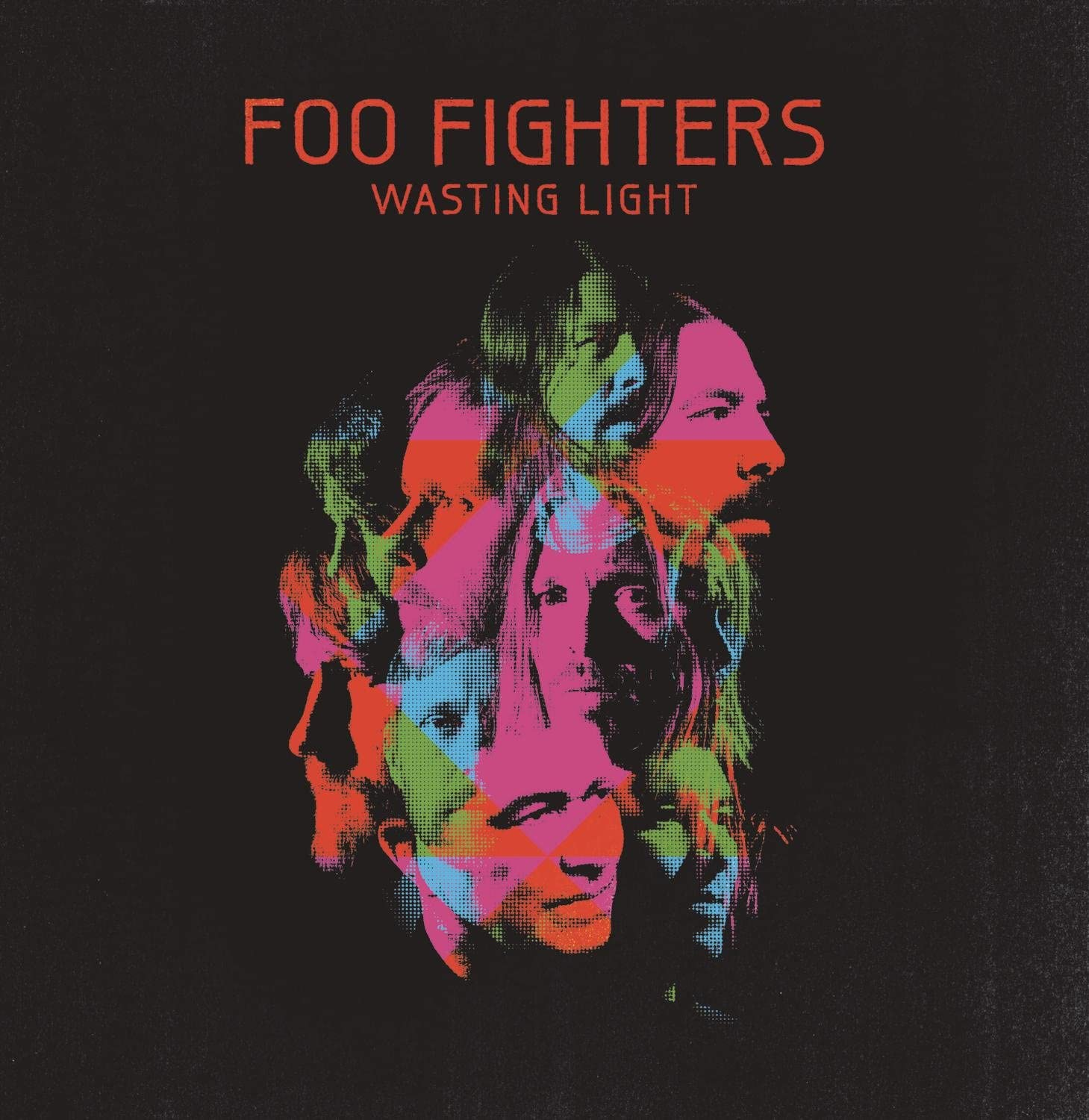 WASTING LIGHT (LP)
