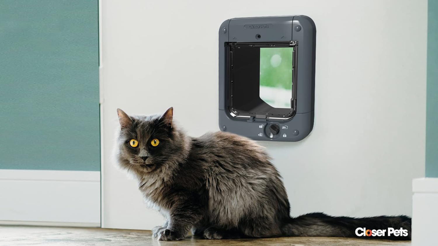 Closer Pets Microchip Activated Cat Flap for up to 30 Cats, Exclusive Entry, Fast Installation, Easy Fitting, Convenient, Tamper Proof, Weatherproof, Silent - White (Grey)