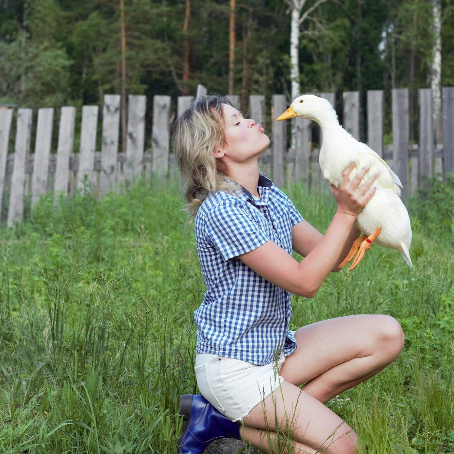 TEAONE Chicken Ring, 100 PCS Chicken Identification Tags for Birds, Ducks, Goosees (5 Colors, 2Cm/0.78In) image number 1