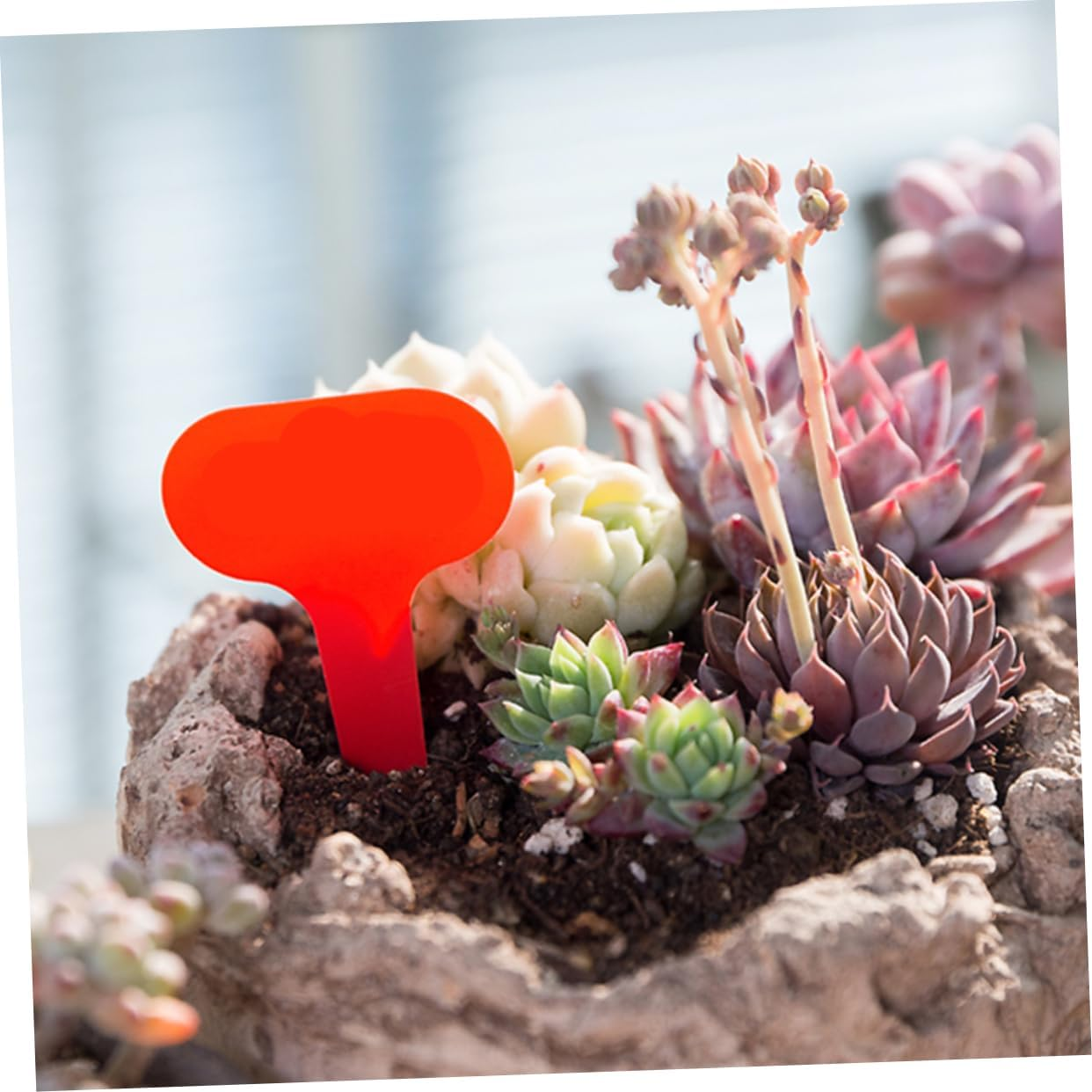 200Pcs Plant Label Plastic Inserted Garden Marker Flower Tag Plant Garden Label For image number 1