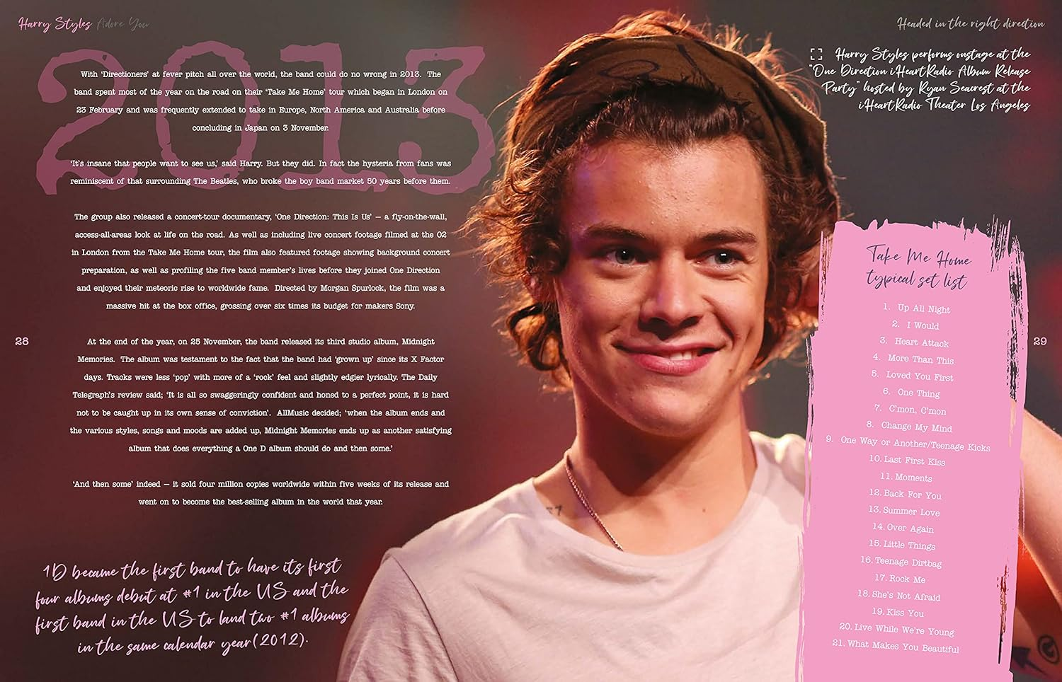 Harry Styles: Adore You: the Illustrated Biography image number 5