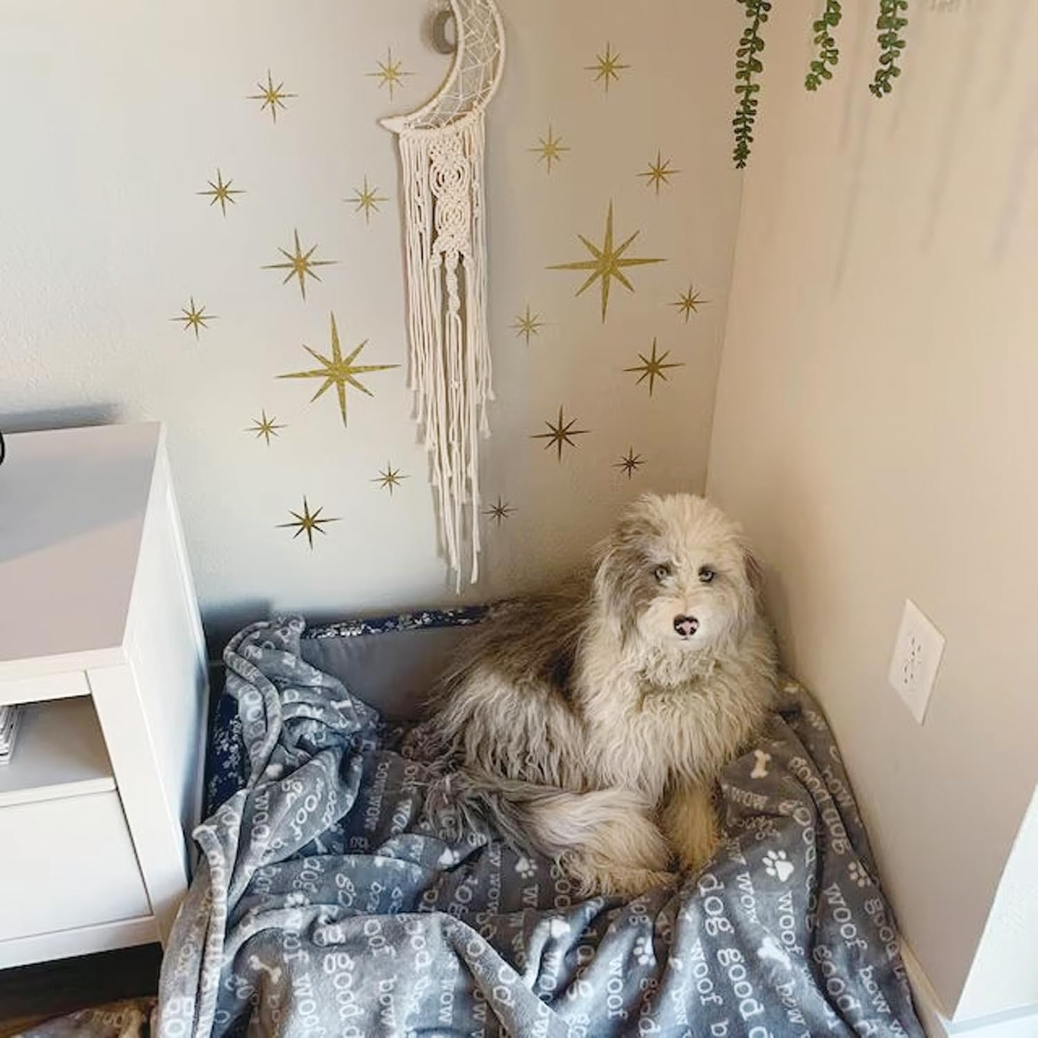 Yanroom Large Star Stencil for Painting, Reusable Paint Stencils, 6 X 8 Inches, 6Pcs, Twinkle Star Wall Drawing Stencils, Craft Canvas Fabric Home Decoration image number 3