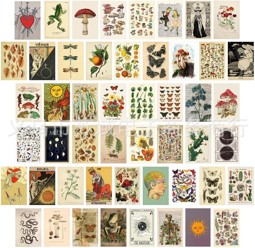 ZIENVE Sage Green Room Decor Aesthetic, Sage Green Home Decor Wall Art for Bedroom, Room Decor for Teen Girls, Cute Prints for Dorm Decor - Preppy image number 3