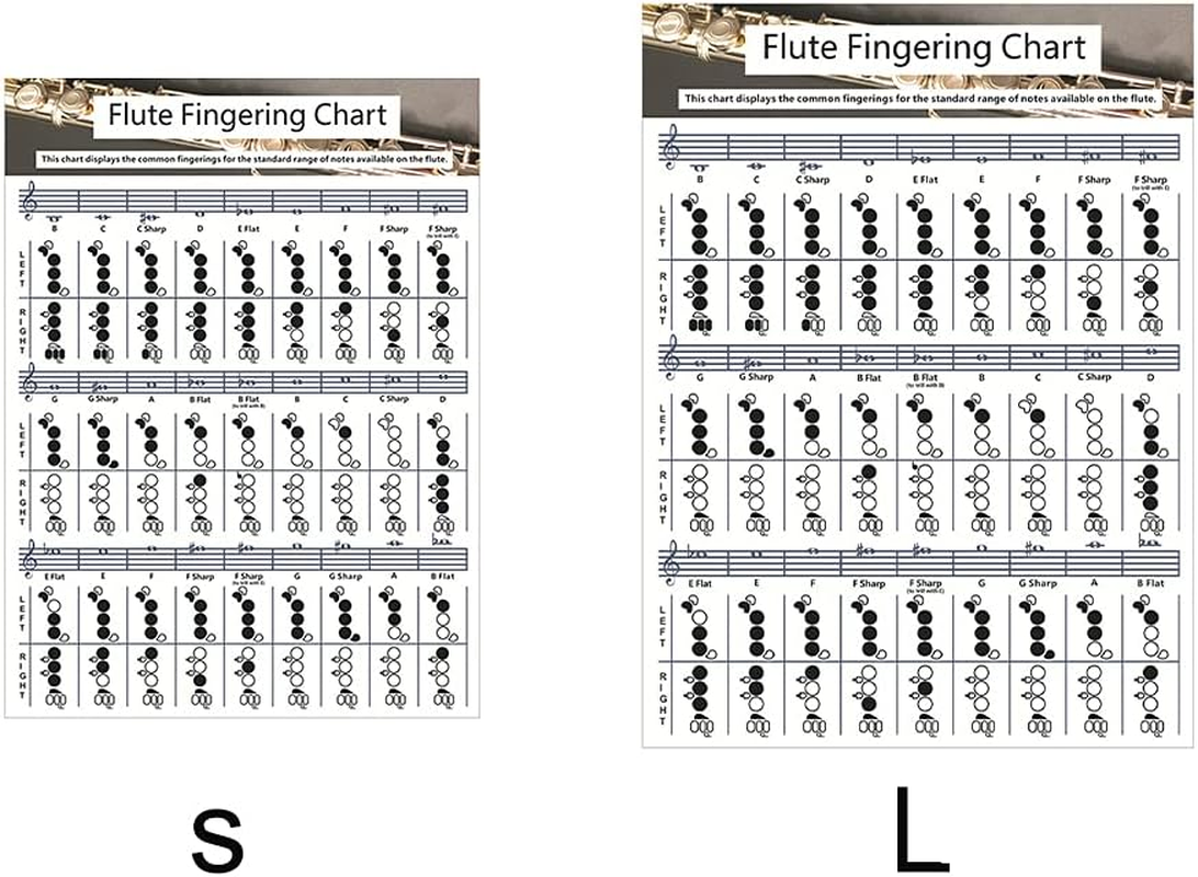 SYCOOVEN Flute Chord Chart, Durable Portable Fingering Practice White Chord Chart for Flute Fingering Practice Chord Chart Beginner Student for Teaching or Group Study(Size:S) image number 2