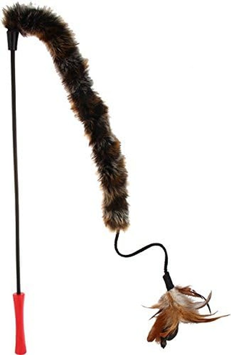 Gigwi Feather Teaser