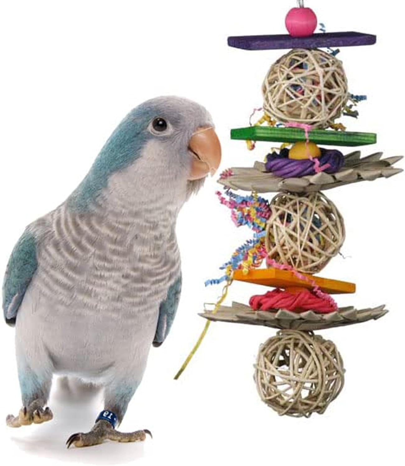 Super Bird Creations Bird Toy, Medium image number 1