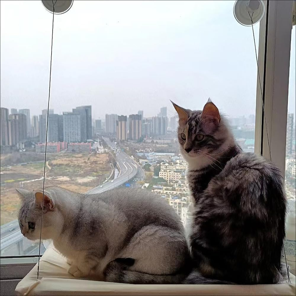 Cat Hammock Window Reinforced Cat Window Seat with Suction Cup Window Lounger for Cats for Sunbathing Pet Bed Large Cats up to 15 Kg image number 6