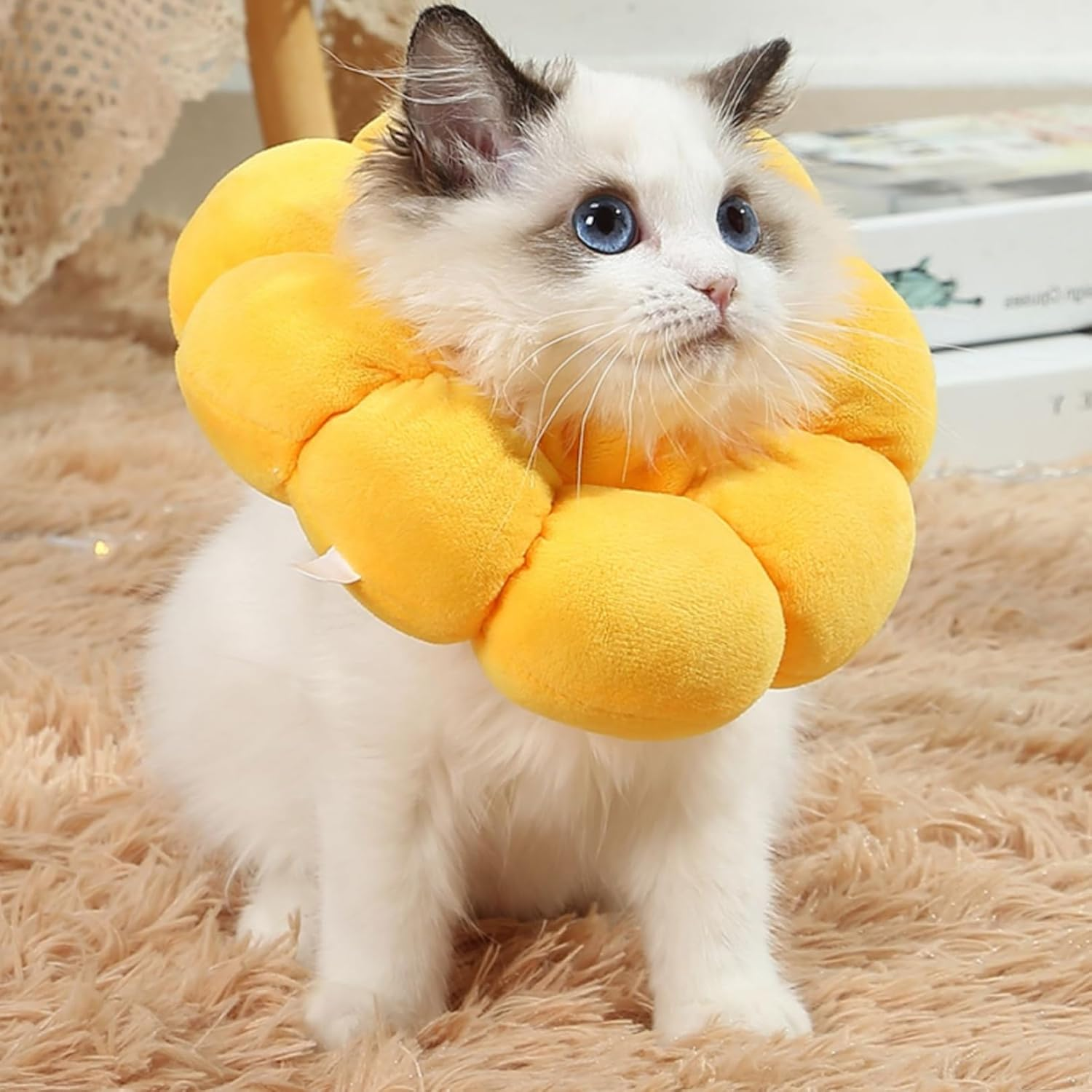 Cat Collar, Soft for Collar, Elizabethan Collar, Cat Collar, Cat Adjustable Elizabethan Collar, Pets Scratching after Surgery Protection, Dog Collar image number 3