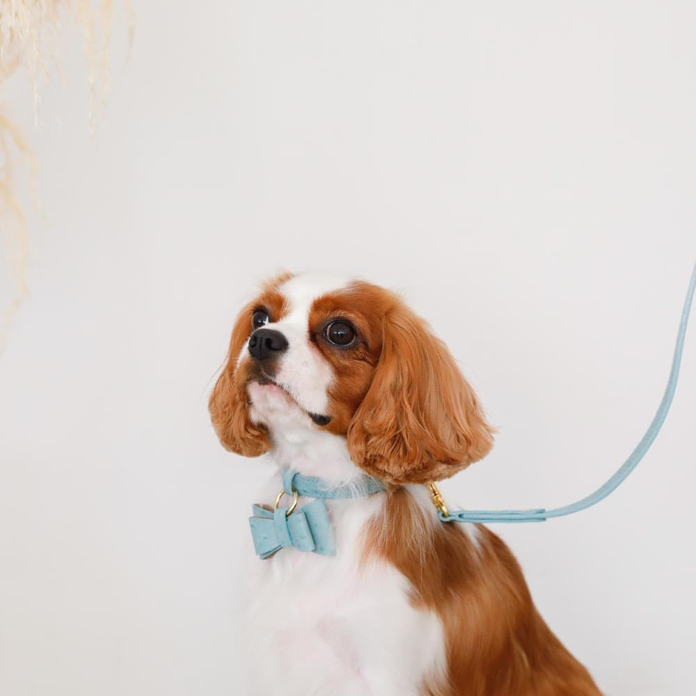 Moncheri Moncheri Dog Collar, Austrian Leather Ribbon Pendant Collar/Camel/M, Cute, Fashionable, Popular, Brand, Toy Poodle, Chihuahua, Small Dogs, Medium Dogs image number 2