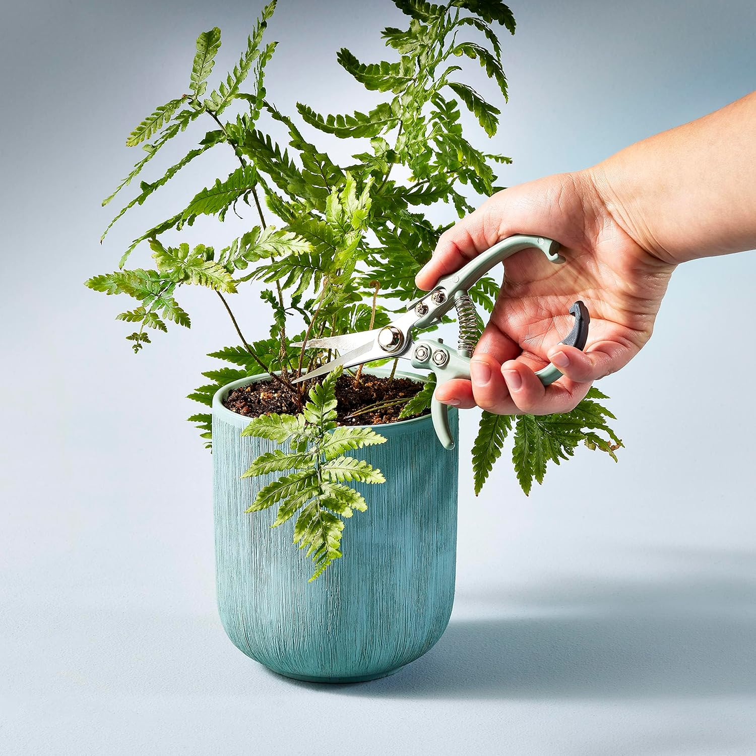 Modern Sprout Shears image number 3