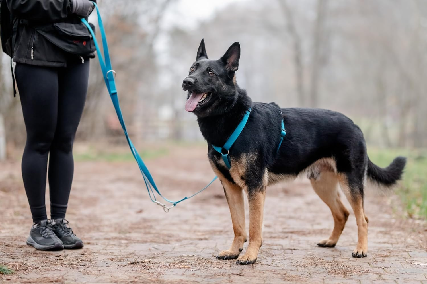 Chaba Guard Dog Harness for Large Dogs with Control, Anti-Pull & Choking, Adjustable, Comfortable and Lightweight, Classic Step-In Chest Harness, Running Harness, Size XL, Sea image number 4