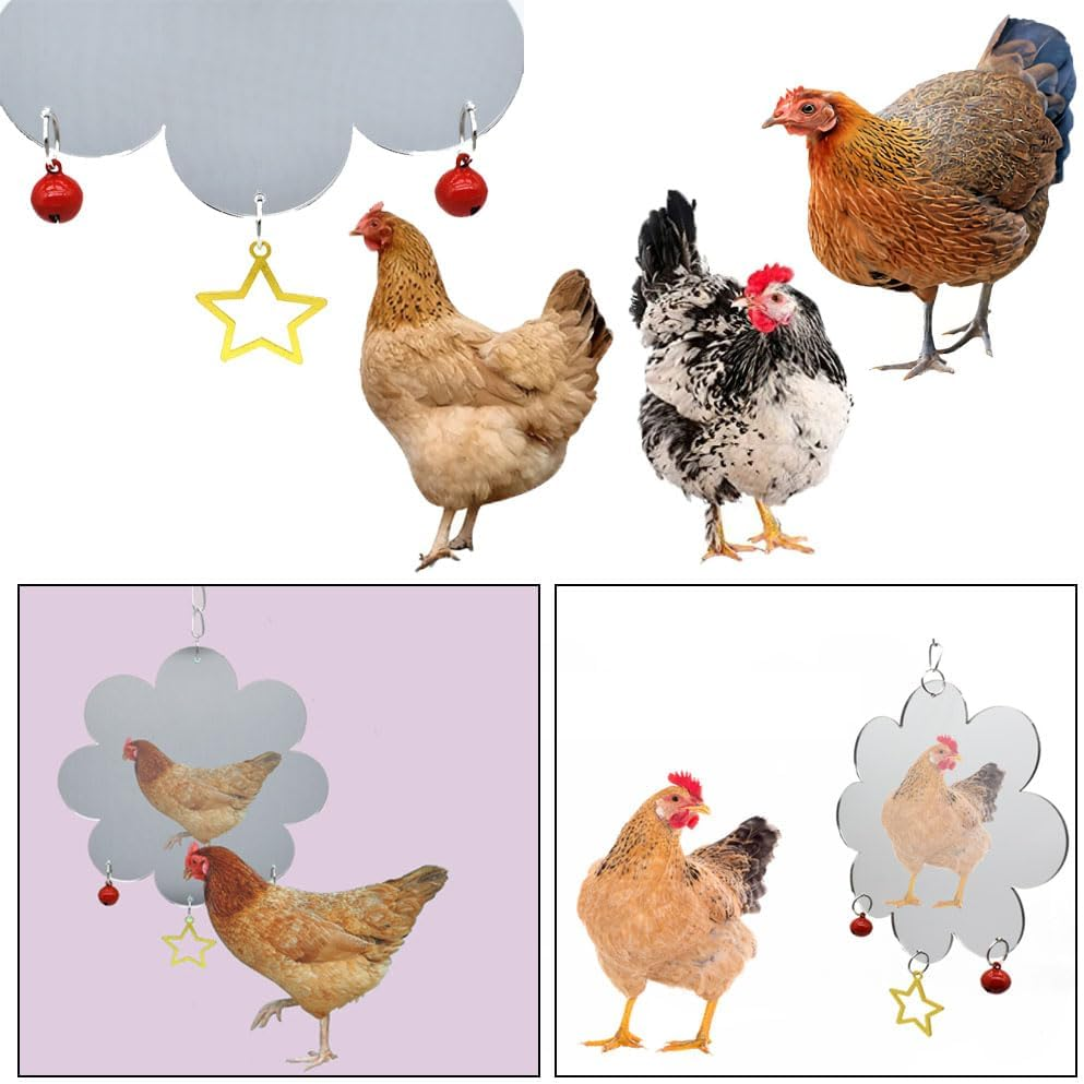 Esforzarse Chicken Enrichment Toys, Chicken Games for Your Roofs, Chicken Mirror Toys, Interactive Cockatoo Toys, Toys for Chickens for Roosters Hens Birds Parrots image number 1