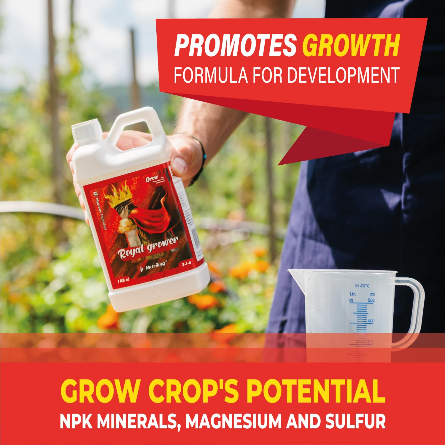 Grow Big Fertilizer and Plant Nutrients. Royal Grower 3-1-6 Liquid NPK Plant Food. for Indoor Outdoor Nutriling 1L image number 6