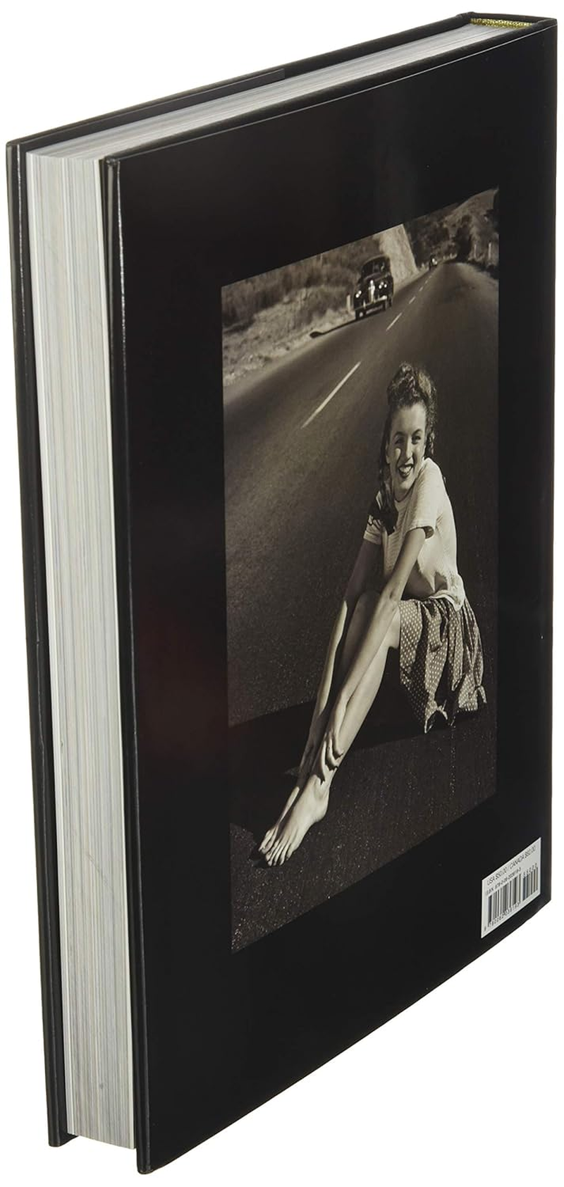 Marilyn Monroe: Metamorphosis - by David Wills image number 3