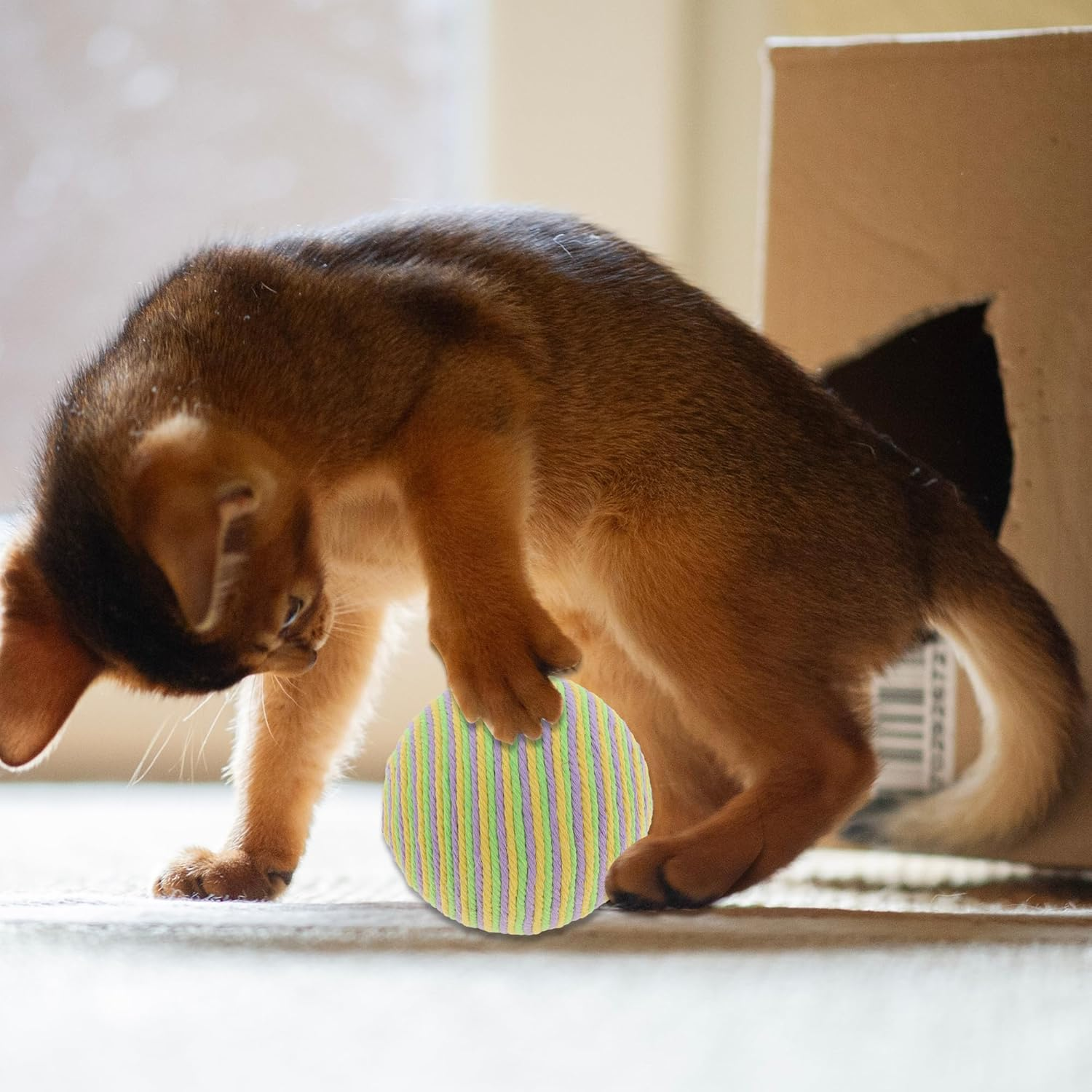 CAPASTEC Interactive Cat Toy Ball with Bell Inside, Diameter 3.54 Inches, Purple image number 1