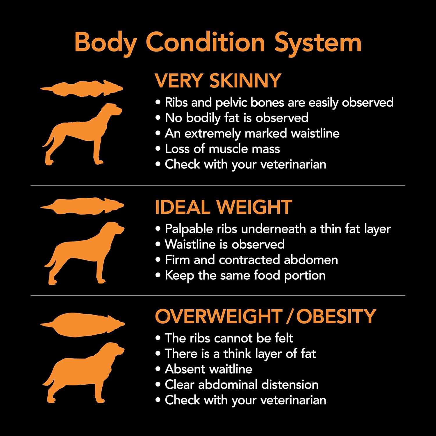 SUPERCOAT SMARTBLEND Adult Dry Dog Food Large Breed Chicken 18Kg image number 3