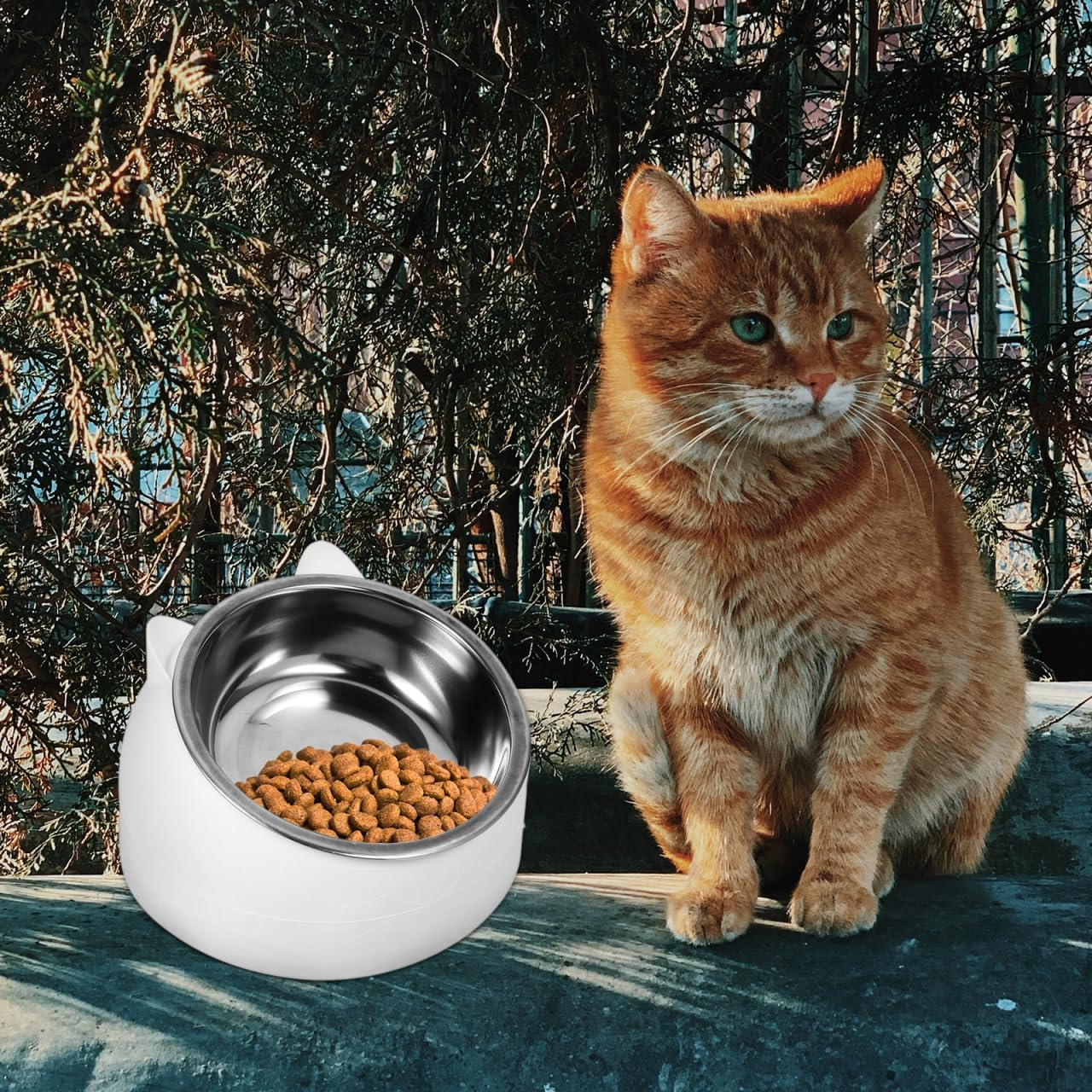 BESPORTBLE Elevated Pet Bowl: Tilted Dog Bowl for Small Dogs & Cats - Detachable Stainless Steel Inner Raised Cat Water Cup Neck Protection for Pets, 200Ml image number 2