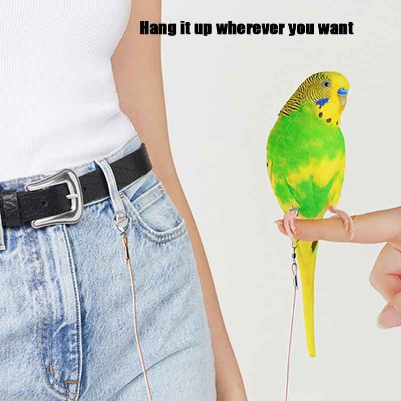 Wishlotus Parrot Flying Rope 3M - Ultra Light anti Bite Bird Flying Training Leash, Portable Parrot Foot Chain for Outdoor Flight Training, Pet Training Rope (Blue) image number 5