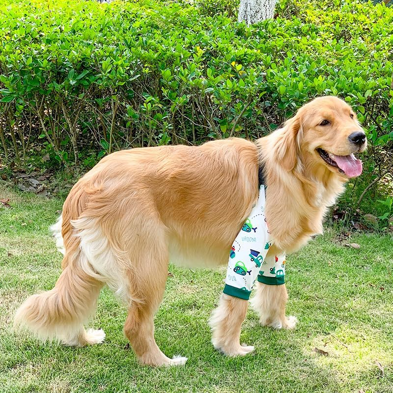 Recovery Sleeve for Dogs - Interchangeable, Single Sleeve Front Leg Protection for Post-Surgery, Hot Spots, or Skin Issues - Breathable, Machine Washable (Green, XL)