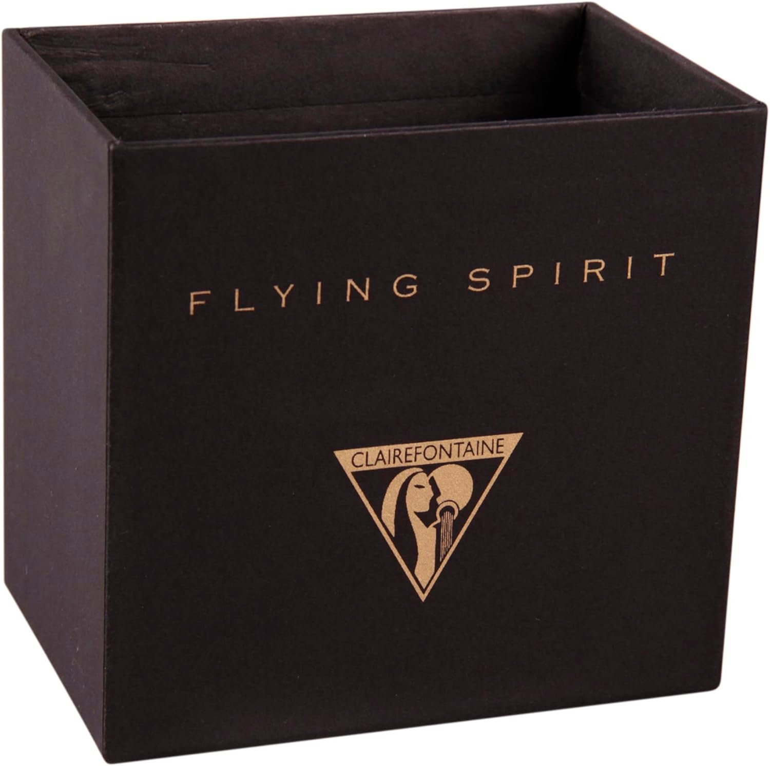 Clairefontaine Flying Spirit 116031C Pencil Box/Organiser 22 X 14 X 19 Cm, Portable and Lightweight, Ideal for Desk, Black, Pack of 1 image number 2