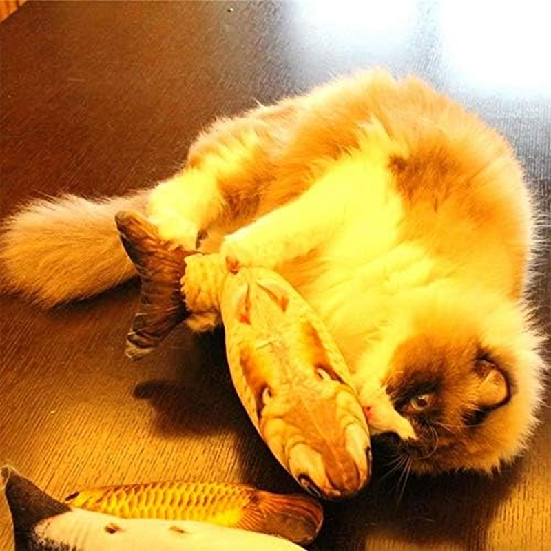 Pet Toys Simulation Fish Toy Funny Cat Toy Fish Stuff Scratching Post Board Toy, Large Size: 57.0 X 22.0 X 13.0Cm Pet Toys image number 6