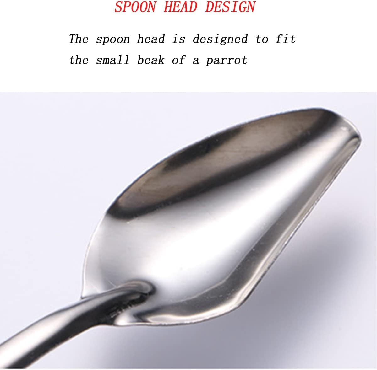 YIUIRUOI 6 Stainless Steel Pet Feeding Spoons, Parrot Feeding Tool, Chick Bird Feeder. image number 1