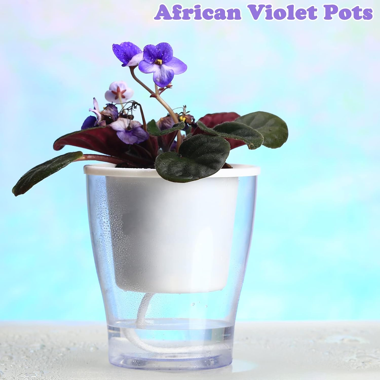 5-Pack 4.3 Inches Clear Self-Watering Planters Small African Violet Pots Plastic Plant Pots Wicking Flower Pots for Indoor Plants, Herbs, African Violet, Ocean Spider Plant, Orchid Pot, Garden Pots image number 6