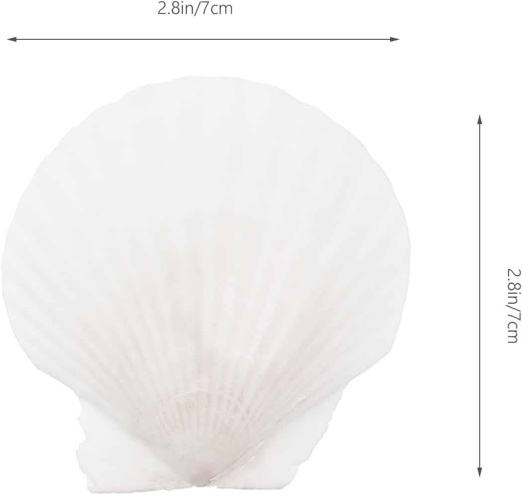 Yardwe Large Natural Scallop Shell Decoration Set 7X7 Inches White Seashells for DIY Crafts Home Decor Candle Making Aquarium Ornament Wreath Embellishment