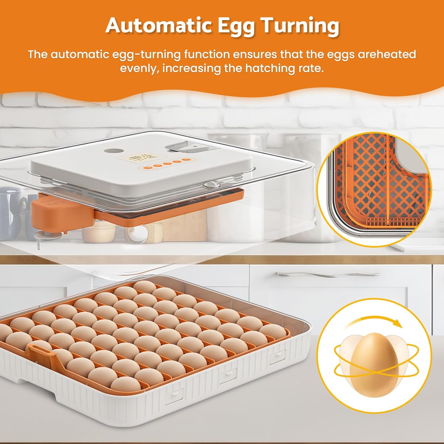 Advwin 56 Eggs Incubator for Hatching Eggs, Automatic Egg Turning with Temperature & Humidity Control, LED Egg Candler, Poultry Egg Incubator for Hatching Chicken, Duck,Goose and Quail Eggs image number 6