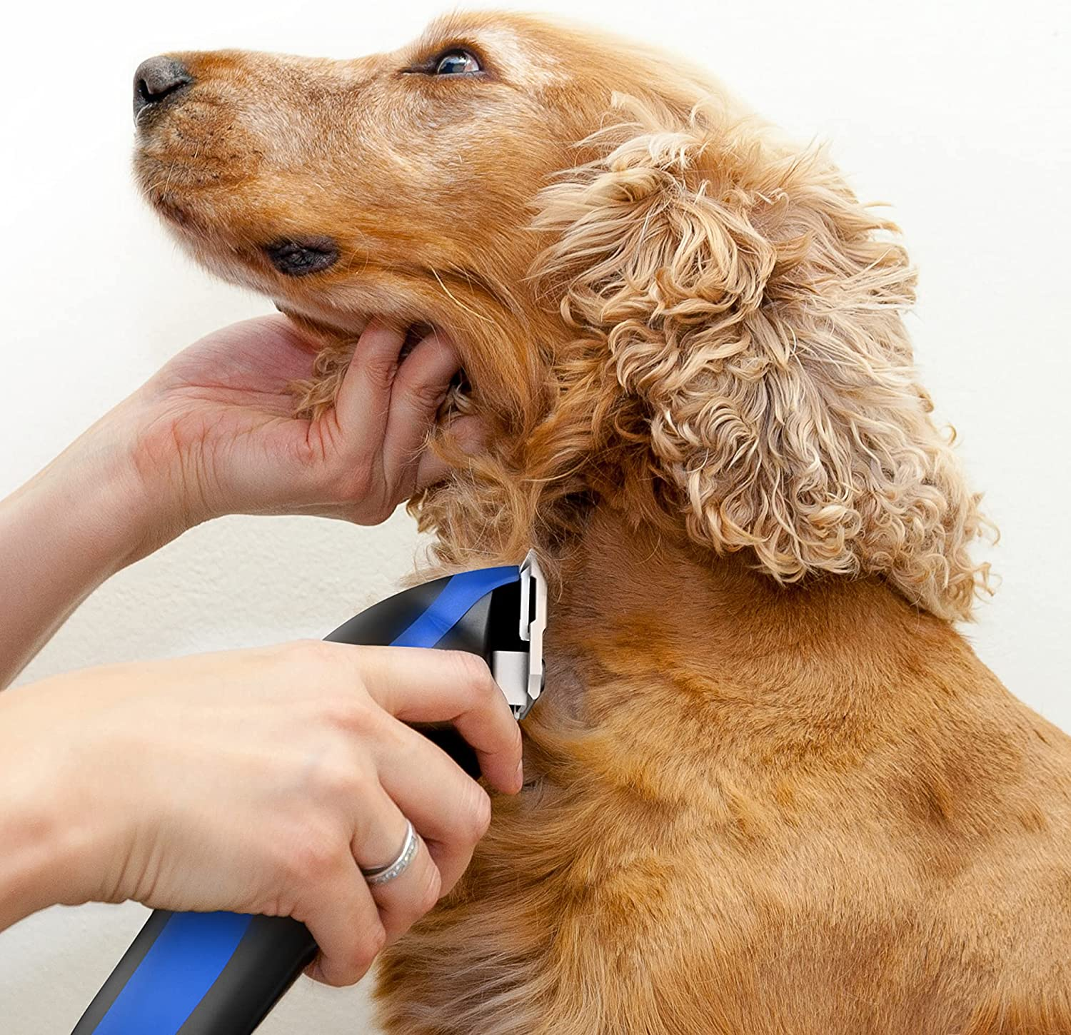 Wahl Dog Clippers, U-Clip Dog Grooming Kit with Colour Coded Combs, Full Coat Dog Grooming Clippers, Low Noise Corded Pet Clippers image number 6