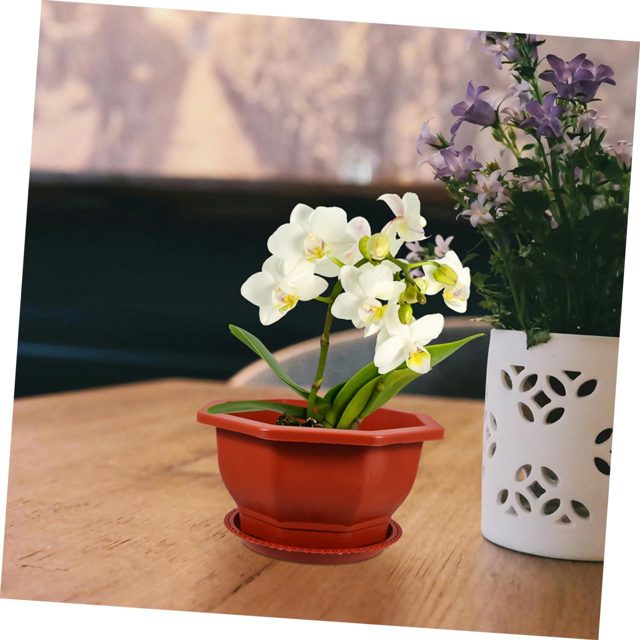 FONDOTIN 5Pcs Red Octagonal Thickened Flower Planter Pots with Drainage Tray for Indoor and Outdoor Gardening Small Plant Pots Set for Bonsai and Orchid Growing image number 3