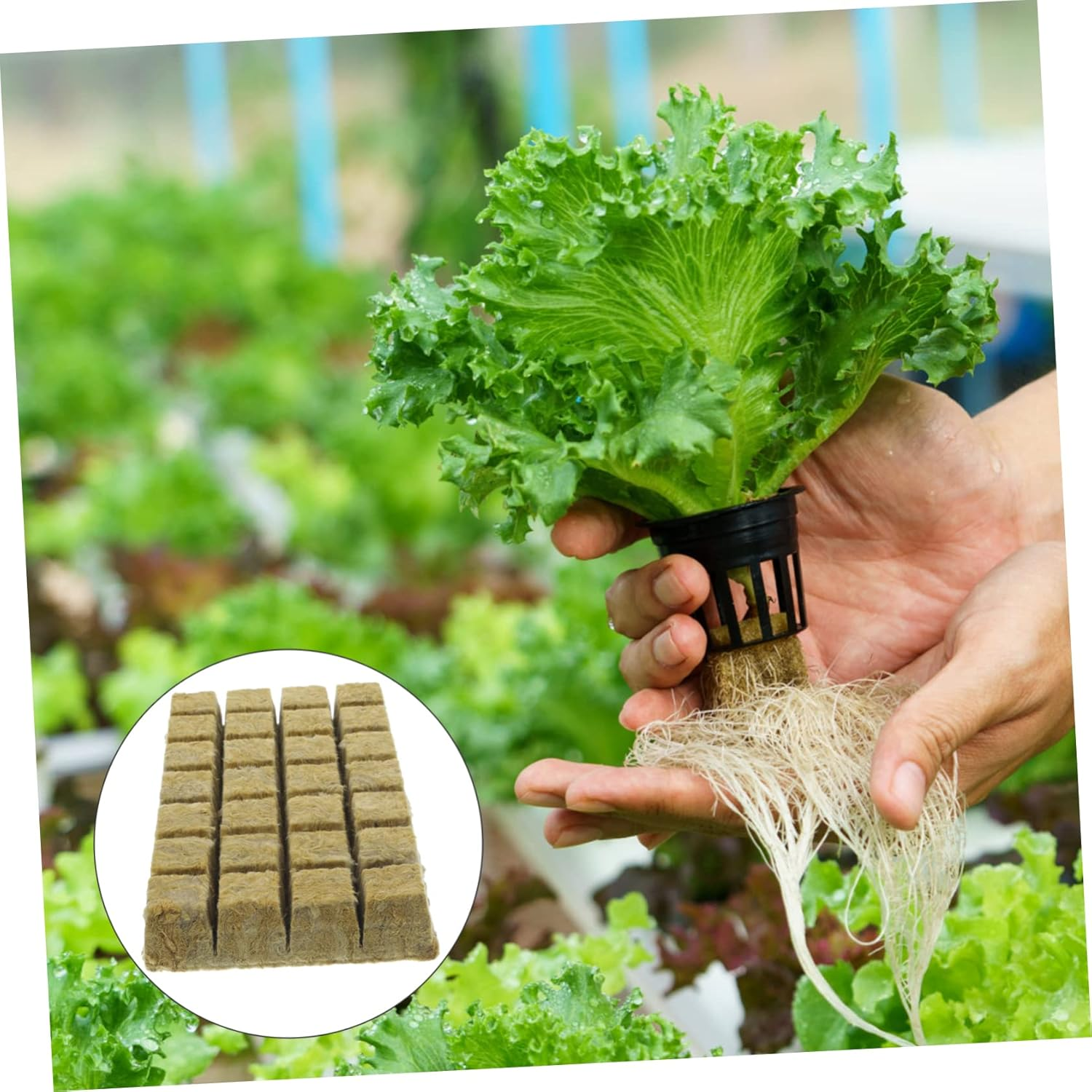 Soilless Cultivation Mineral Wool Starter Plugs Hydroponic Plant Nursery Blocks 36X36X40Mm 28Pcs for Vegetable Propagation and Hydroponics Gardening Accessories image number 6