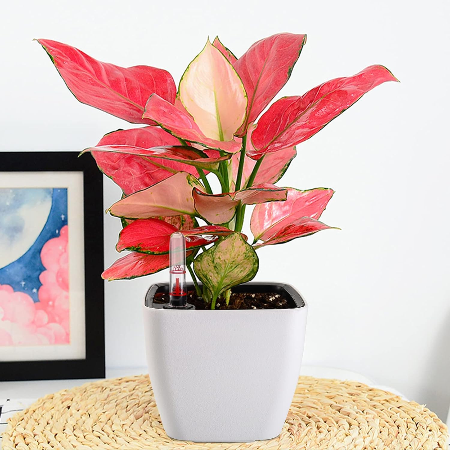 Yarlung 6 Pack Self Watering Planter with Water Level Indicator, 5 Inch Plastic Plant Flower Pots Nested Container for Indoor Plants, Herbs, Aloe, Outdoor Gardening image number 1