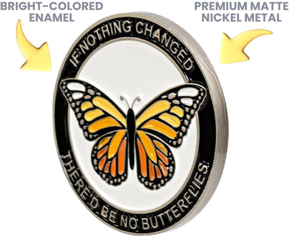 Butterfly Sobriety Coin, Sober Chip, Aa Recovery Medallion, Floating Display Frame image number 1