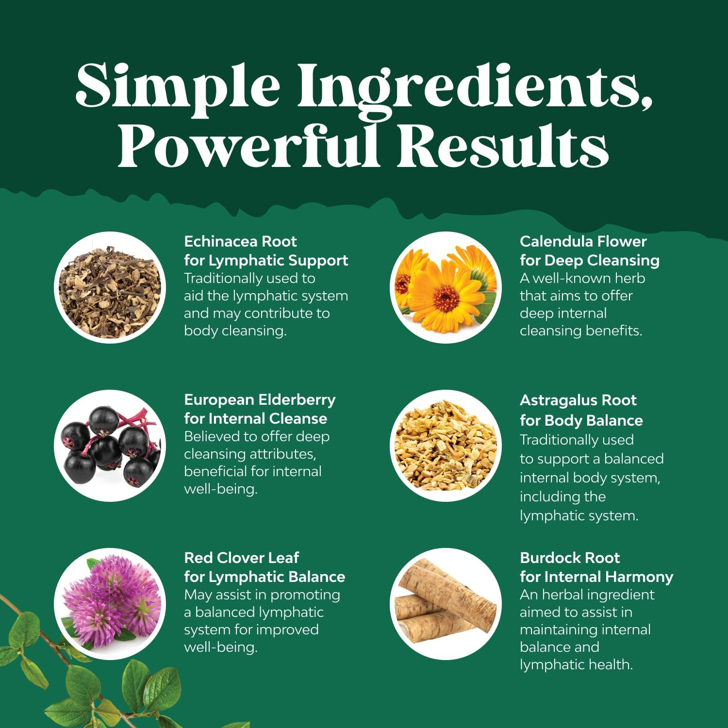 Certified Organic Lymphatic Drainage Drops - Herbal Lymphatic Cleanse and Immune Support Supplement with Echinacea Goldenseal & Red Clover Extract - Vegan Non GMO Alcohol and Sugar Free - 30 Servings image number 5