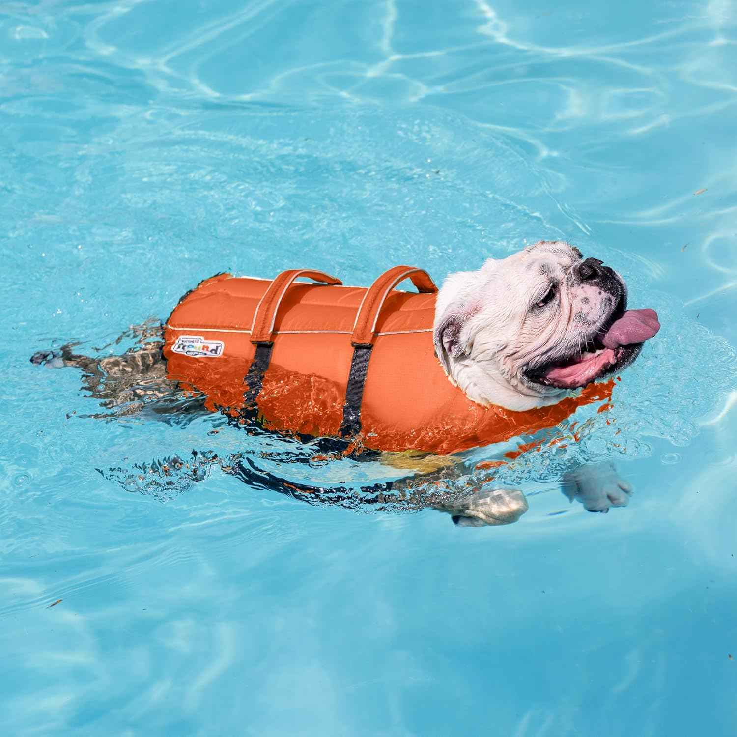 Outward Hound Pet Supplies XS (Pack of 1) Dog Life Jacket, Orange, XS Pack 1 US image number 1