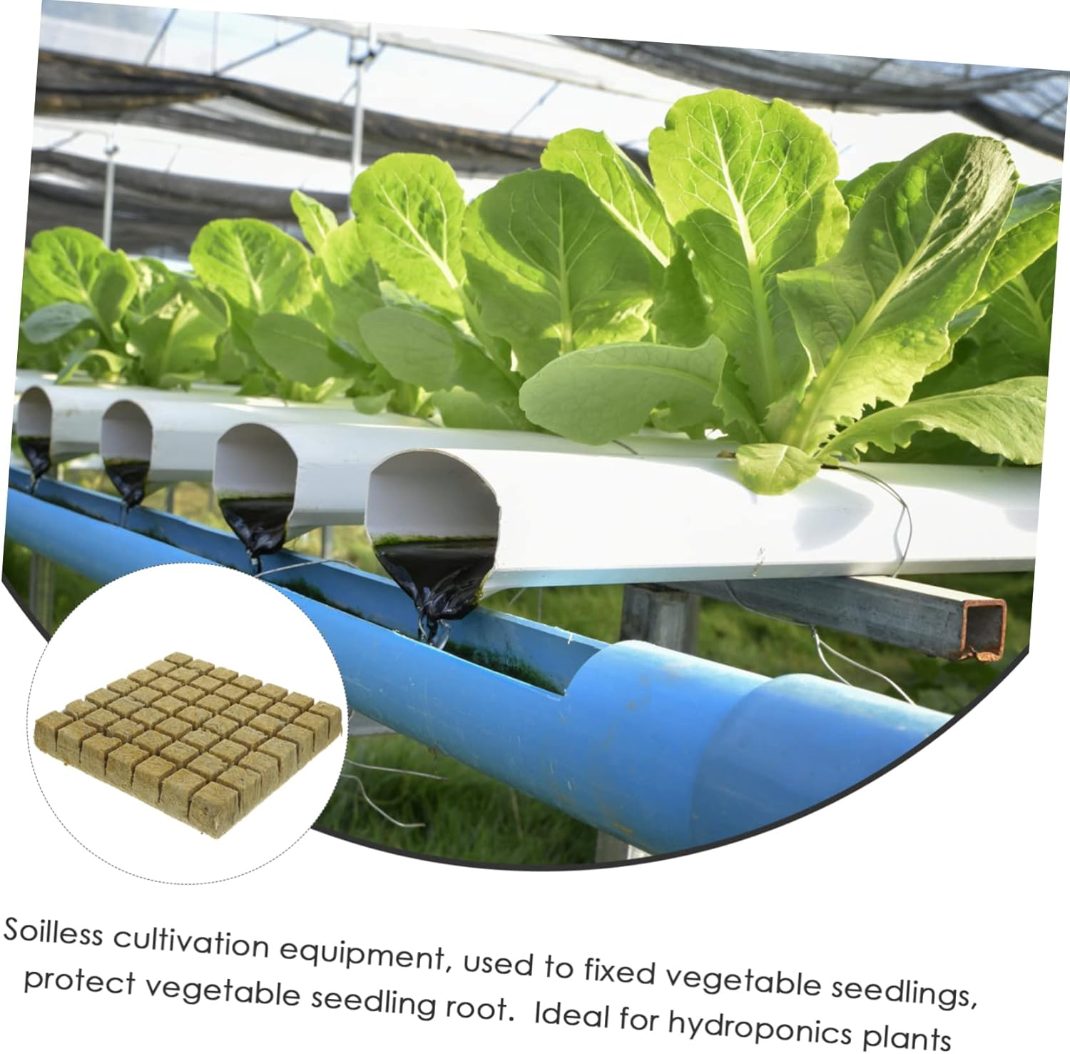 Parliky Hydroponic Grow Cubes Soilless Cultivation Nursery Blocks Lightweight Air Permeable Planting Supplies for Seed Starting and Greenhouse Gardening image number 5