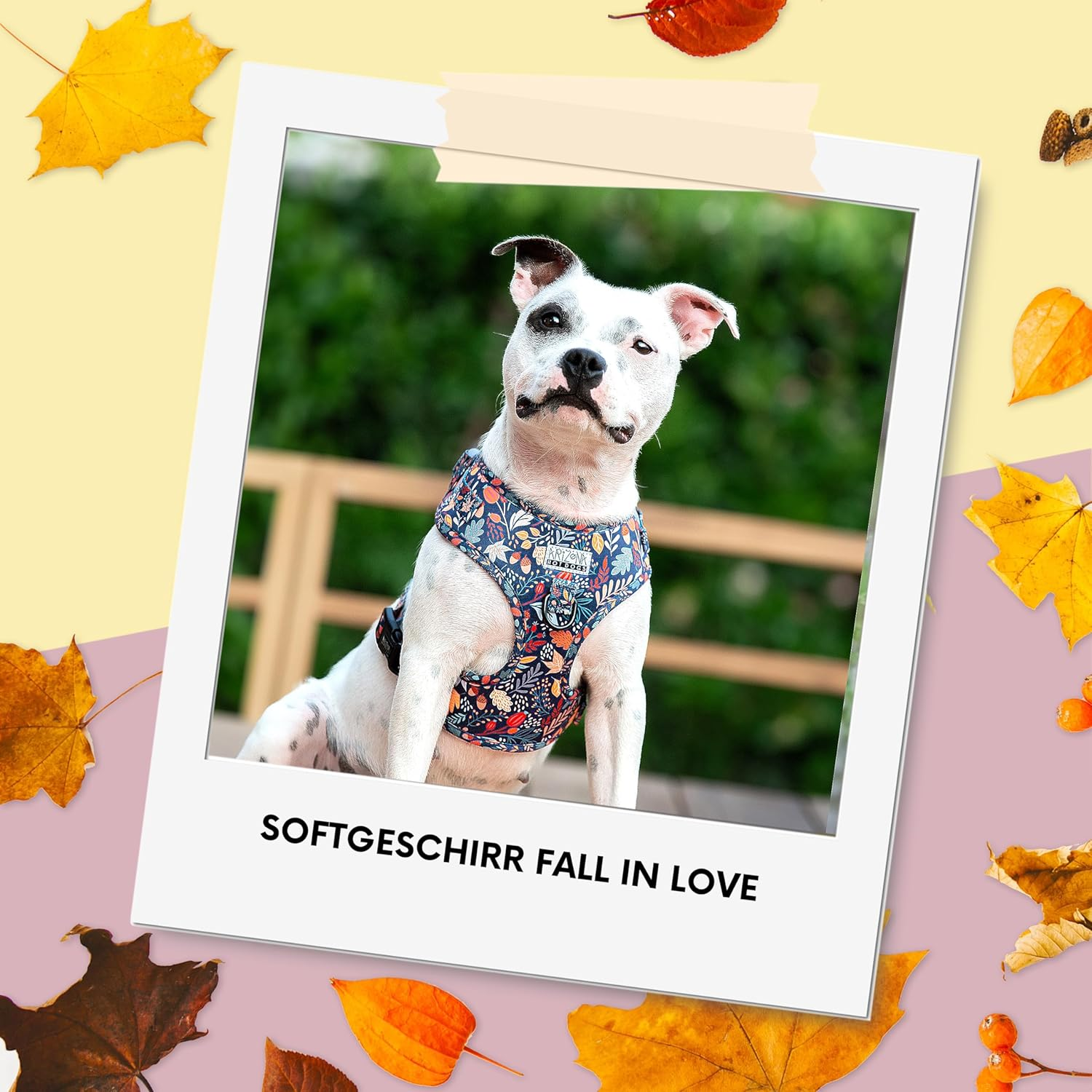 Dog Harness for Smaller Dogs Arizona Hotdogs Soft Harness Fall in Love Colourful Leaf Pattern (S) image number 2